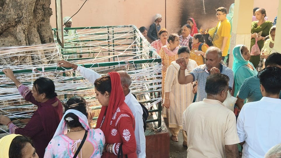 बेरी के पेड़ में धागा बांधने के लिए जुटी महिलाओं की भीड़। संवाद