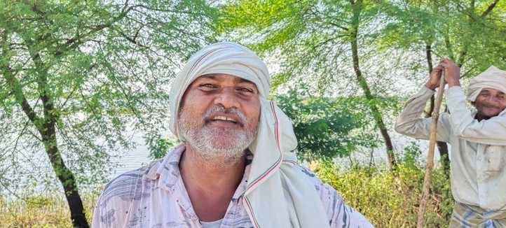 फोटो - 12 पानी में धान काटती चैन वाली मशीन। संवाद फोटो - 12 पानी में धान काटती चैन वाली मशीन। संवाद