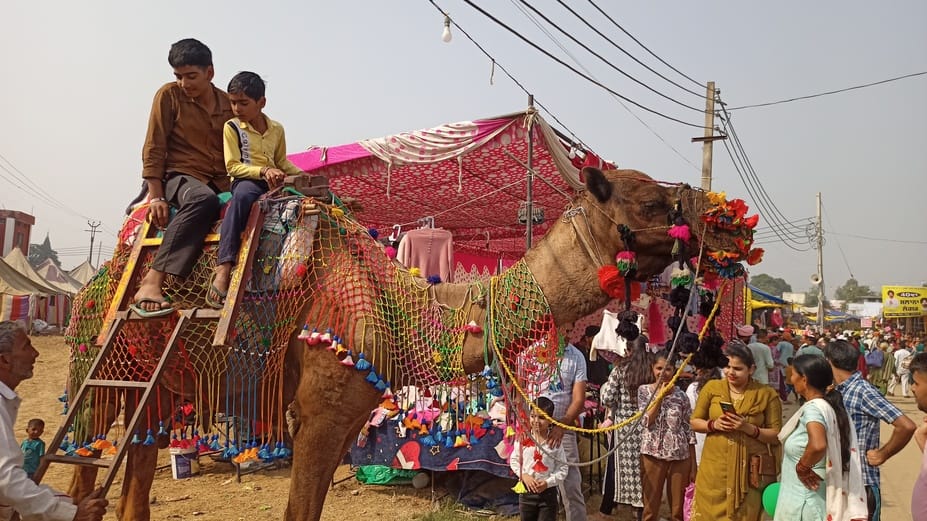 कपालमोचन स्थित ऋणमोचन सरोवर में स्नान करते श्रद्धालु। संवाद कपालमोचन स्थित ऋणमोचन सरोवर में स्नान करते श्रद्धालु। संवाद