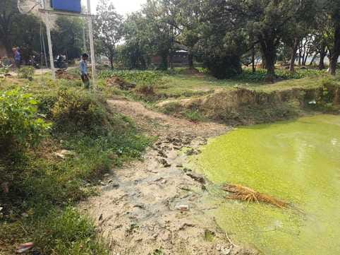 शैलेंद्र मिश्र, पुनवार
