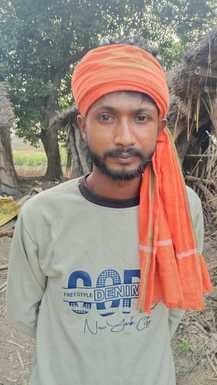 शारदा पार हाथियों ने रौंदी गन्ने की फसल। संवाद
