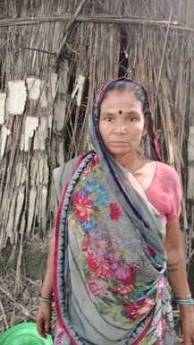 शारदा पार हाथियों ने रौंदी गन्ने की फसल। संवाद