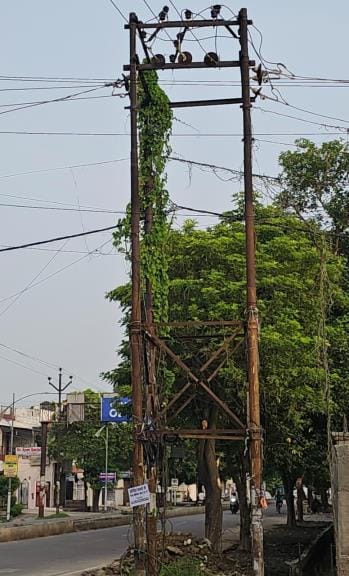 निरीक्षण करते अधिकारी।