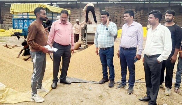 पुवायां मंडी में पीसीएफ बी पैक्स नवाबपुर गंगा क्रय केंद्र पर लगे धान के ढेर। संवाद पुवायां मंडी में पीसीएफ बी पैक्स नवाबपुर गंगा क्रय केंद्र पर लगे धान के ढेर। संवाद