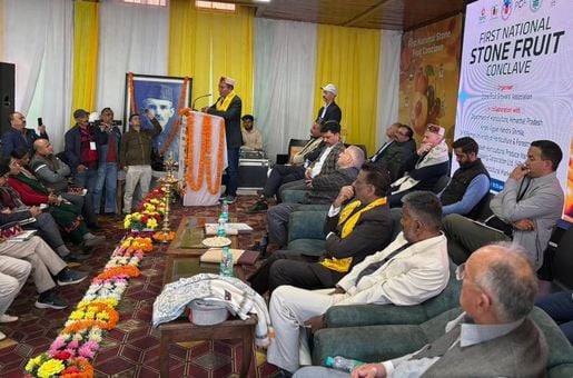 थानाधार में आयोजित राष्ट्रीय गुठलीदार फल सम्मेलन में मौजूद प्रतिभागी। स्रोत : डीपीआरओ थानाधार में आयोजित राष्ट्रीय गुठलीदार फल सम्मेलन में मौजूद प्रतिभागी। स्रोत : डीपीआरओ