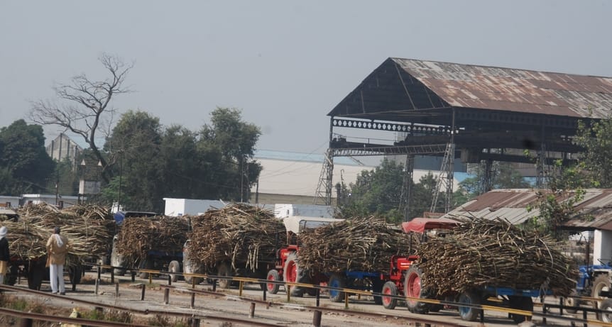 बागपत चीनी मिल स्थित गन्ना यार्ड में परेशान खड़े किसान। संवाद बागपत चीनी मिल स्थित गन्ना यार्ड में परेशान खड़े किसान। संवाद