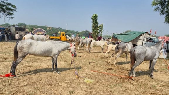 माधव किसान मेला के शुभारंभ पर हवन पूजन करते प्रबंधक मयंक गुप्ता एवं सहयोगी। संवाद माधव किसान मेला के शुभारंभ पर हवन पूजन करते प्रबंधक मयंक गुप्ता एवं सहयोगी। संवाद