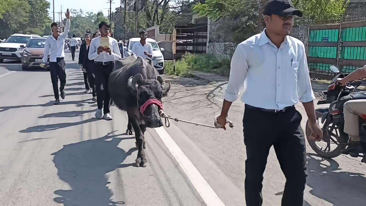 ऐसे हुआ प्रदर्शन ऐसे हुआ प्रदर्शन