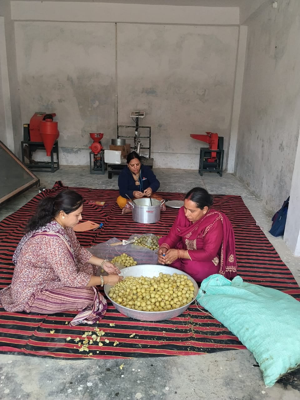 हम दर्शन क्लस्टर की महिलाएं घर पर कच्चा सामान तैयार करते हुए। संवाद