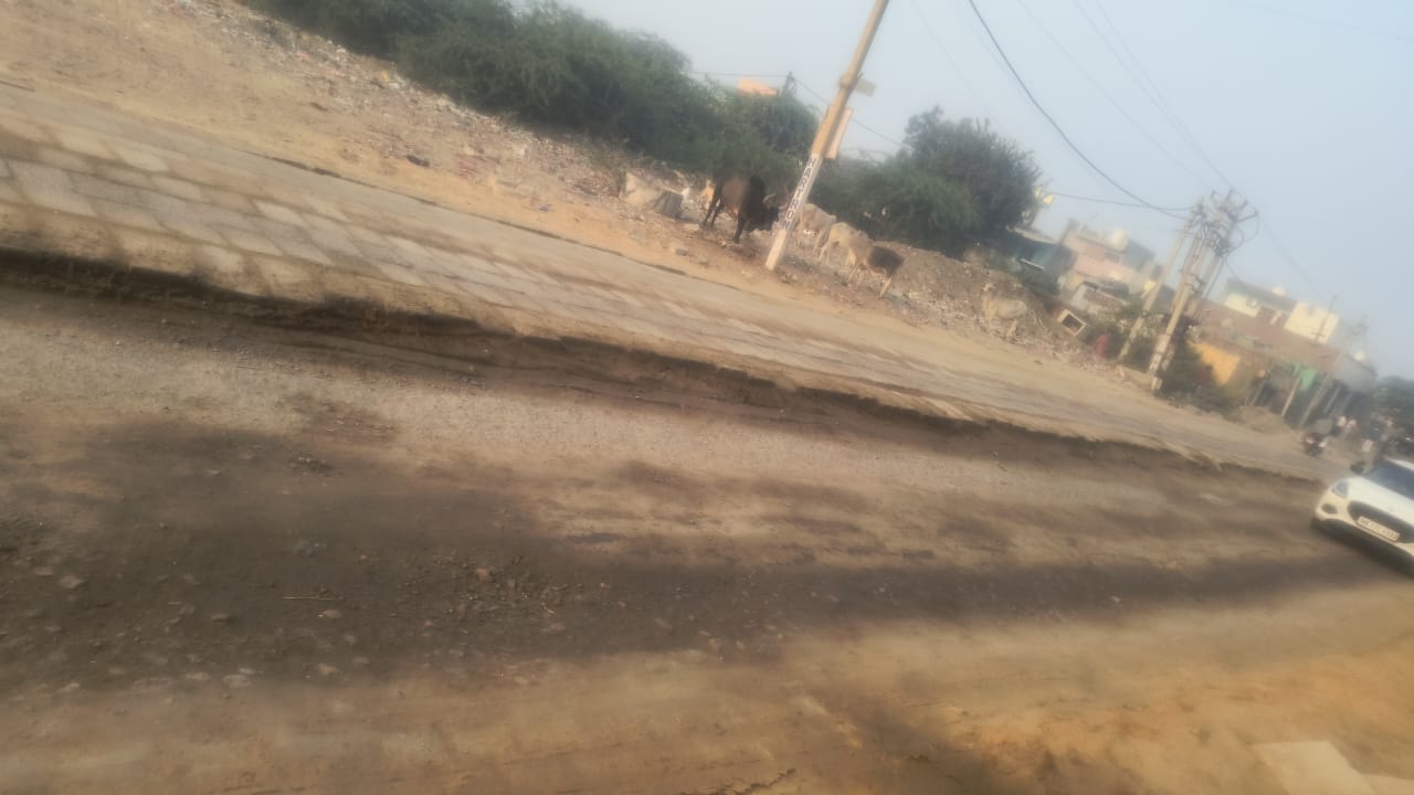 खानक में उखाड़ी गई सड़क के बाद किनारे लगा इंटरलॉकिंग टाइल का ढेर। संवाद खानक में उखाड़ी गई सड़क के बाद किनारे लगा इंटरलॉकिंग टाइल का ढेर। संवाद