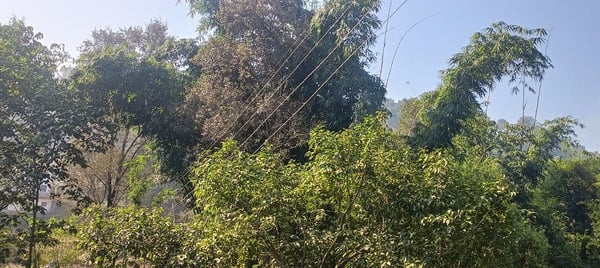महारल में ओवरलोड बिजली से जला बिजली ट्रांसफार्मर। स्रोत: जागरूक पाठक महारल में ओवरलोड बिजली से जला बिजली ट्रांसफार्मर। स्रोत: जागरूक पाठक