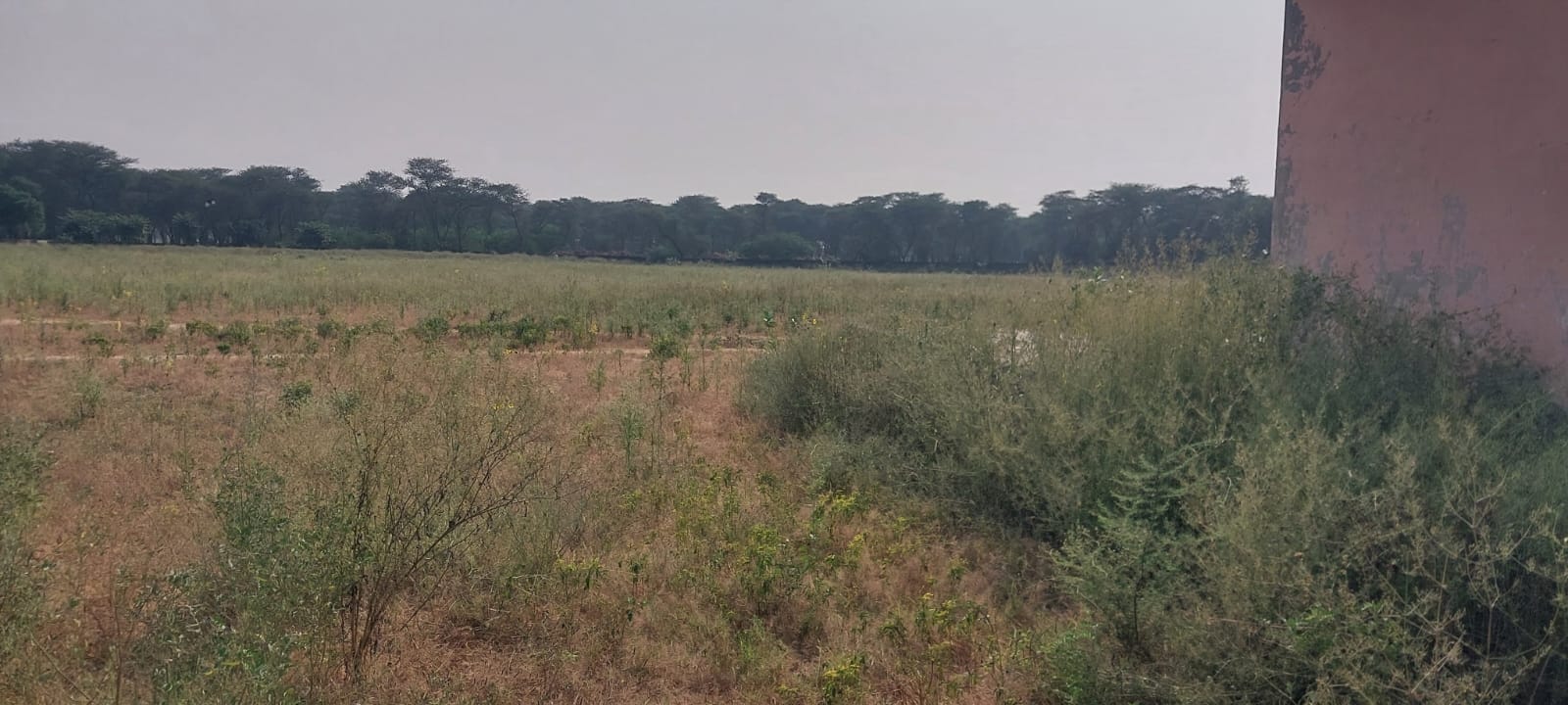 नेहरूगढ़ स्थित राजीव गांधी खेल परिसर की बदहाल दशा। संवाद नेहरूगढ़ स्थित राजीव गांधी खेल परिसर की बदहाल दशा। संवाद