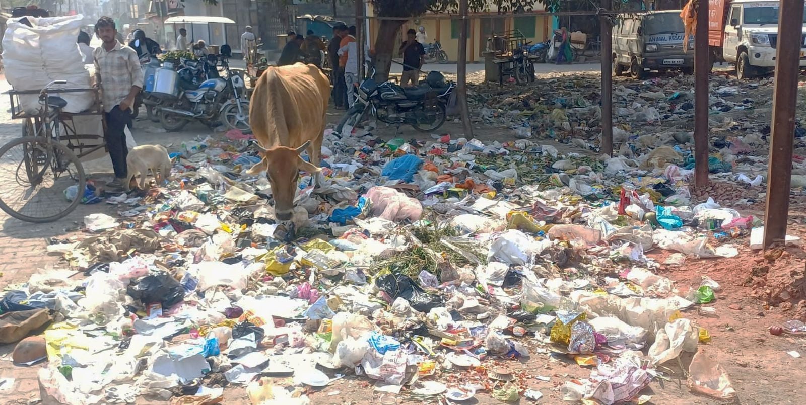 शहर के मोहल्ला चित्रांश नगर में सड़क पर फैला कूड़ा। संवाद
