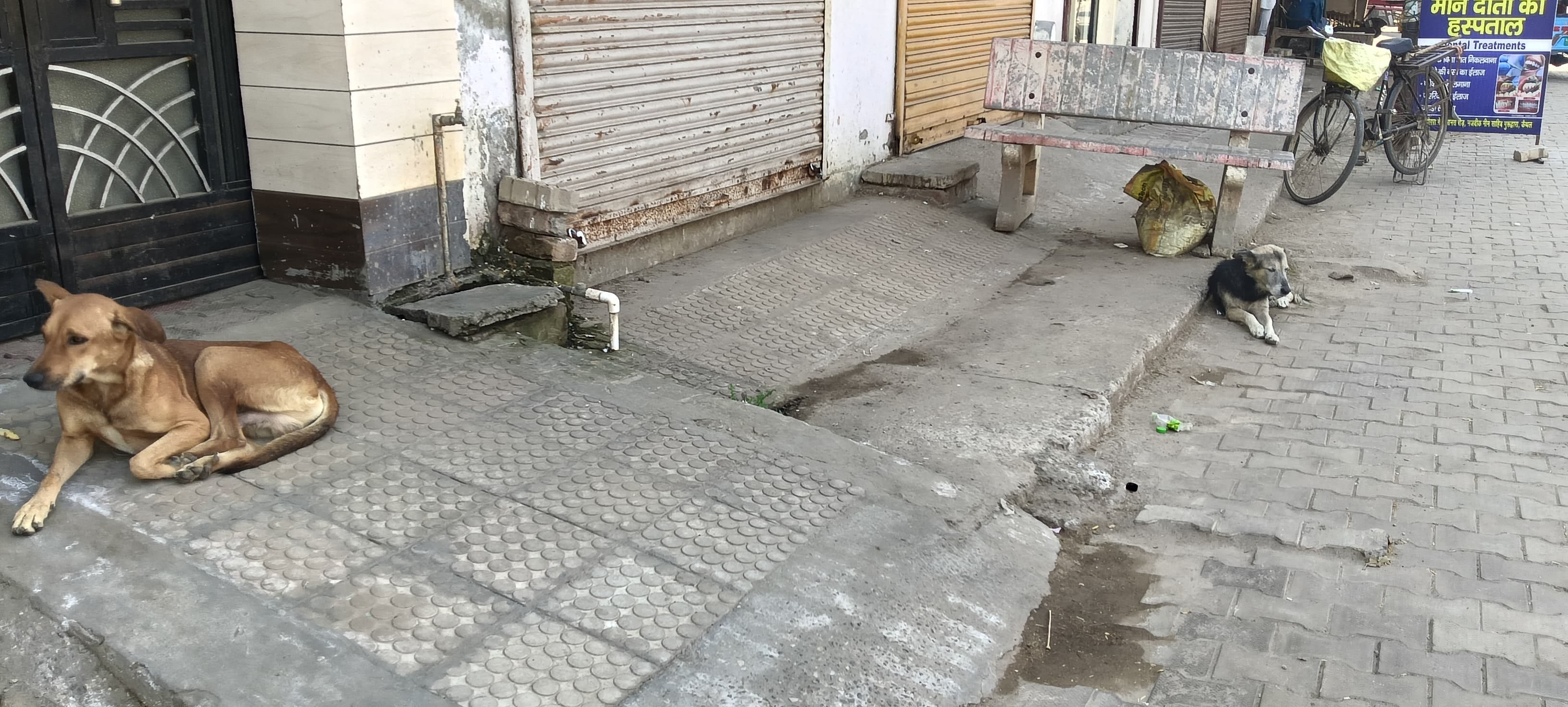 12 नवंबर के अंक में प्रकाशित समाचार।