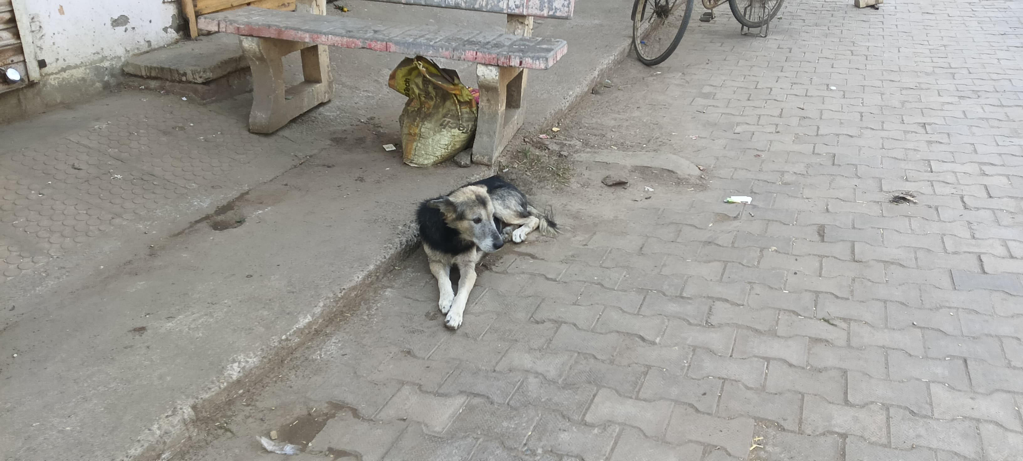 12 नवंबर के अंक में प्रकाशित समाचार।