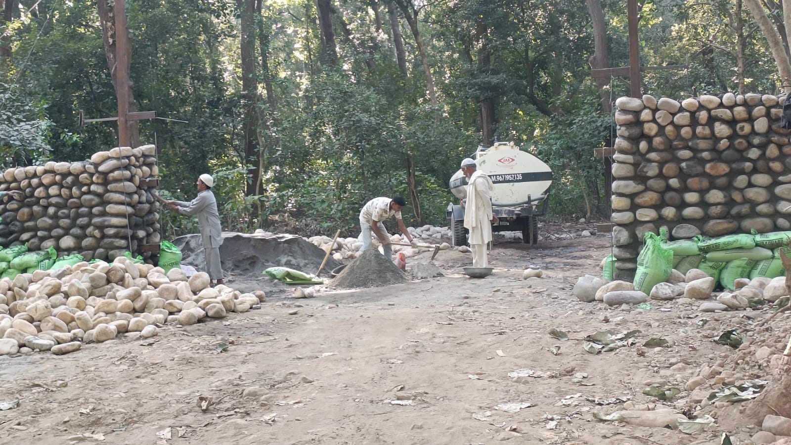 कलेसर नेशनल पार्क में विचरण करता चीतल। आर्काइव कलेसर नेशनल पार्क में विचरण करता चीतल। आर्काइव