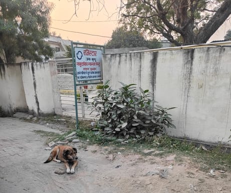 लाडवा। आवारा कुत्ते के काटने से घायल बच्ची।