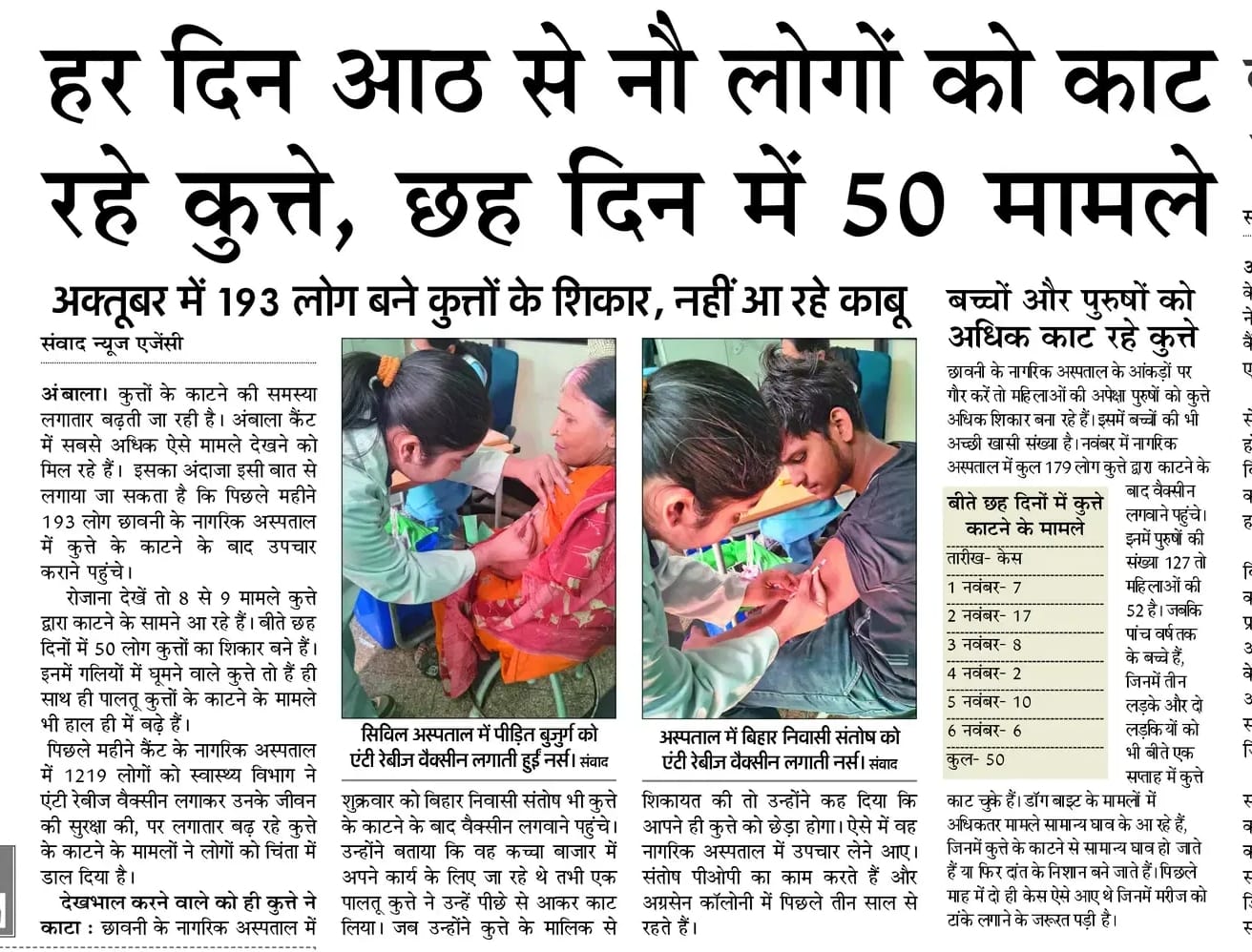 अंबाला में घूमते बेसहारा कुत्ते। फाइल फोटो अंबाला में घूमते बेसहारा कुत्ते। फाइल फोटो