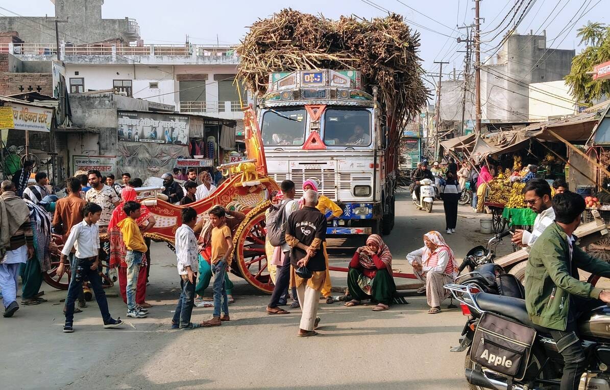 गाडी की टक्कर से घायल घोडी। (मवाना) गाडी की टक्कर से घायल घोडी। (मवाना)