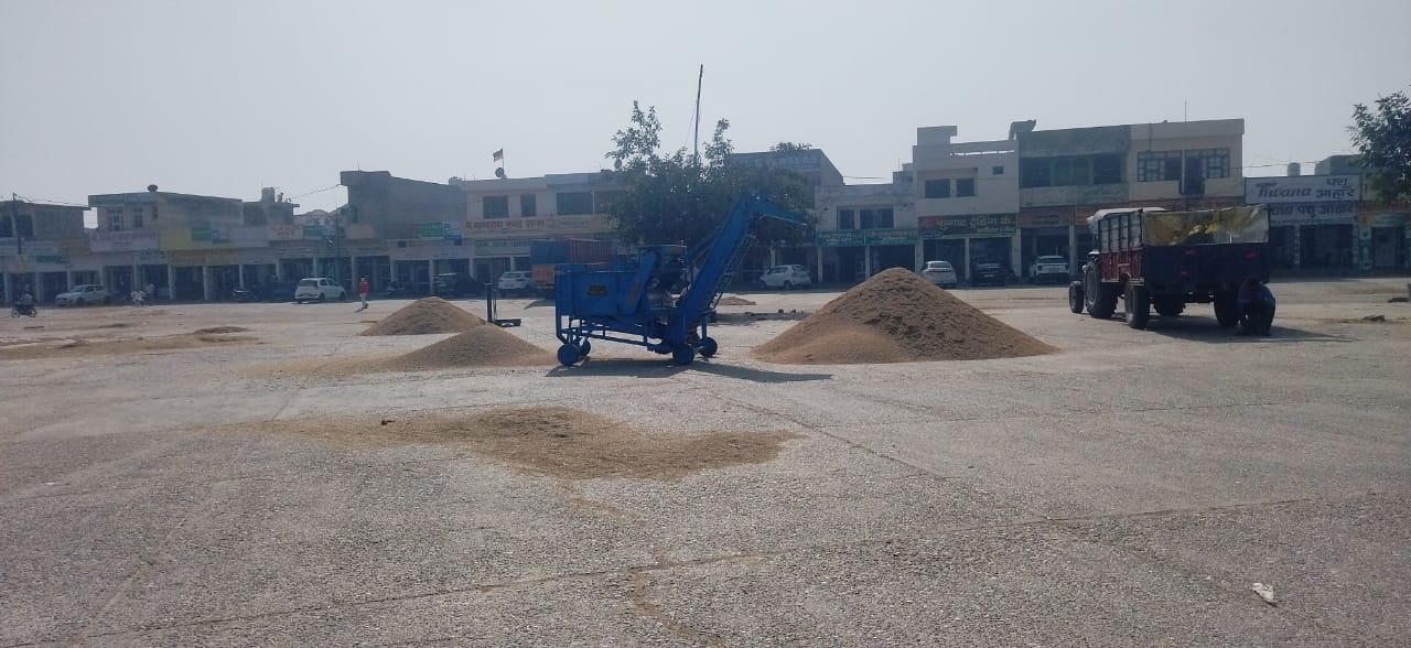 कुरुक्षेत्र। सीजन के अंतिम दिन थानेसर अनाजमंडी में आई धान की ढेरी। संवाद कुरुक्षेत्र। सीजन के अंतिम दिन थानेसर अनाजमंडी में आई धान की ढेरी। संवाद