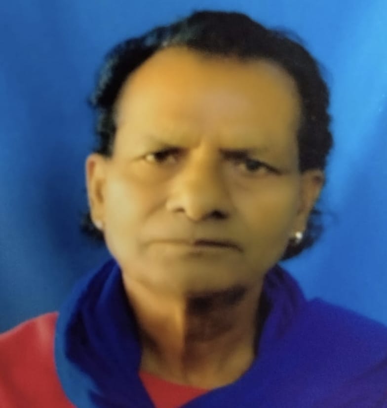 खुंडियां में झुंड बनाकर बैठे लावारिस कुत्ते। संवाद खुंडियां में झुंड बनाकर बैठे लावारिस कुत्ते। संवाद