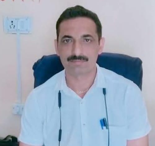 खुंडियां में झुंड बनाकर बैठे लावारिस कुत्ते। संवाद खुंडियां में झुंड बनाकर बैठे लावारिस कुत्ते। संवाद