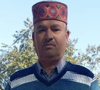 खुंडियां में झुंड बनाकर बैठे लावारिस कुत्ते। संवाद खुंडियां में झुंड बनाकर बैठे लावारिस कुत्ते। संवाद