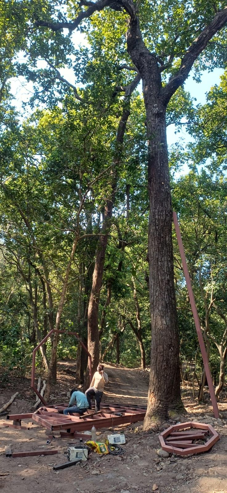 तैयार किया जा रहा ट्री हाउस का ढांचा। संवाद तैयार किया जा रहा ट्री हाउस का ढांचा। संवाद