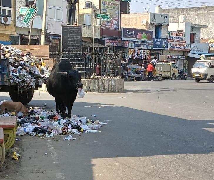कैथल। राजकीय उच्च विद्यालय क्रमांक 4, अमरगढ़ के पास गंदगी का ढेर । कैथल। राजकीय उच्च विद्यालय क्रमांक 4, अमरगढ़ के पास गंदगी का ढेर ।