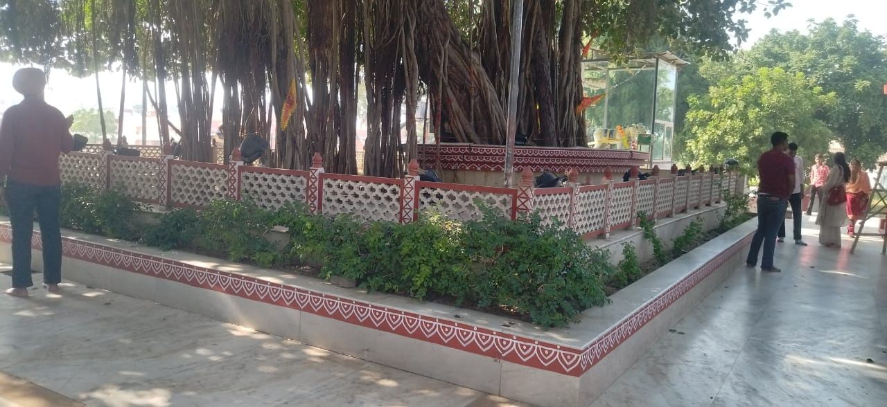 कुरुक्षेत्र। ज्योतिसर तीर्थ की सीढ़ी, चबुतरे से लेकर पेड़ों पर भी की गई चित्रकारी। संवाद 