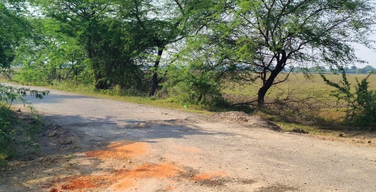 फोटो 21 एमएएचपी 10 परिचय-शिवहार-कमलखेड़ा मार्ग की उखड़ी सड़क। संवाद फोटो 21 एमएएचपी 10 परिचय-शिवहार-कमलखेड़ा मार्ग की उखड़ी सड़क। संवाद