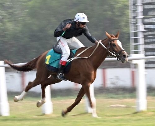 लखनऊ रेसकोर्स में आईपीएल कप घुड़दौड़ में भाग लेते प्रतिभागी। इसका आनंद उठाने के लिए बड़ी संख्या