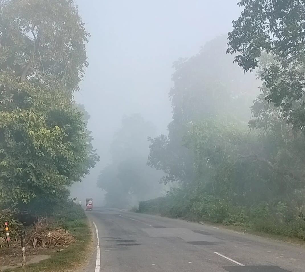 मोहम्मदी से बरबर मार्ग पर निकट शिवम् गैस एजेंसी के पास अंधा मोड़।संवाद