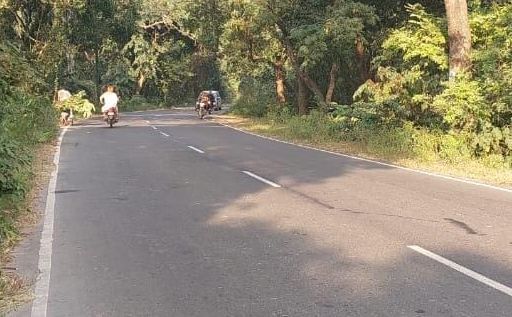 मोहम्मदी से बरबर मार्ग पर निकट शिवम् गैस एजेंसी के पास अंधा मोड़।संवाद