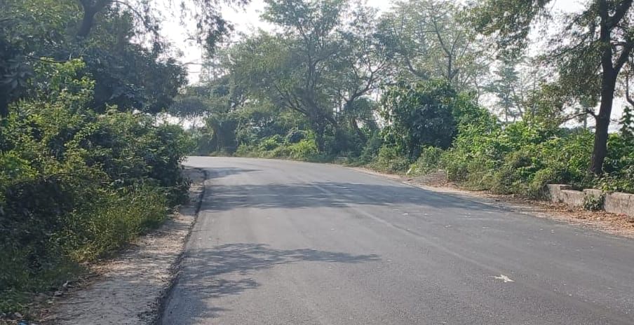 मोहम्मदी से बरबर मार्ग पर निकट शिवम् गैस एजेंसी के पास अंधा मोड़।संवाद