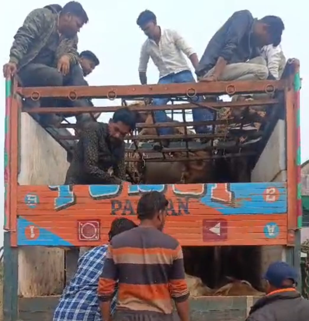 बोरे हटाए गए तो दिखा दिल दहला देने वाला सच