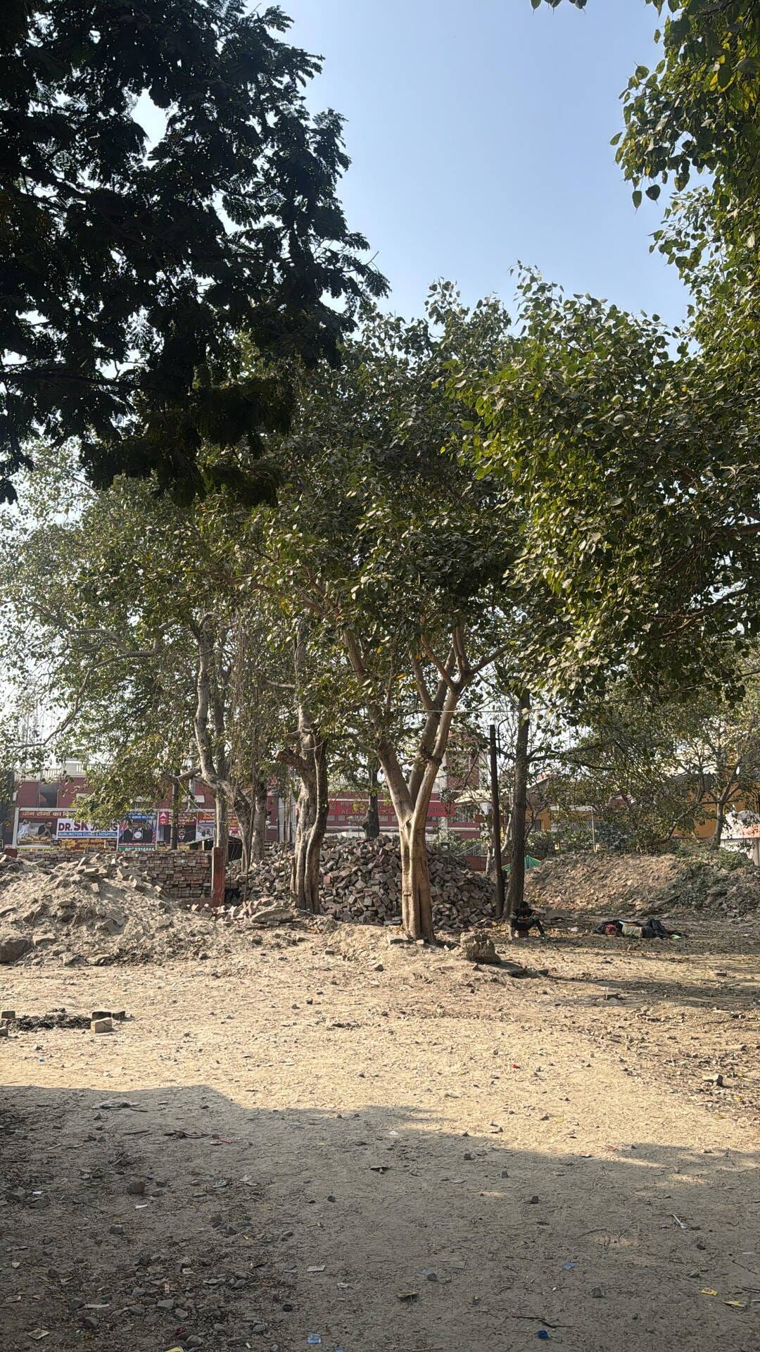 चारबाग स्टेशनः 20 हरेभरे वृक्षों को काटने की तैयारी, कर दी नंबंरिंग