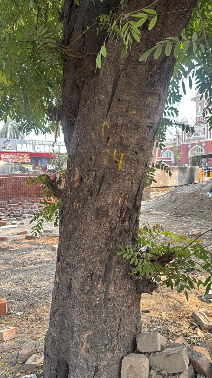 चारबाग स्टेशनः 20 हरेभरे वृक्षों को काटने की तैयारी, कर दी नंबंरिंग