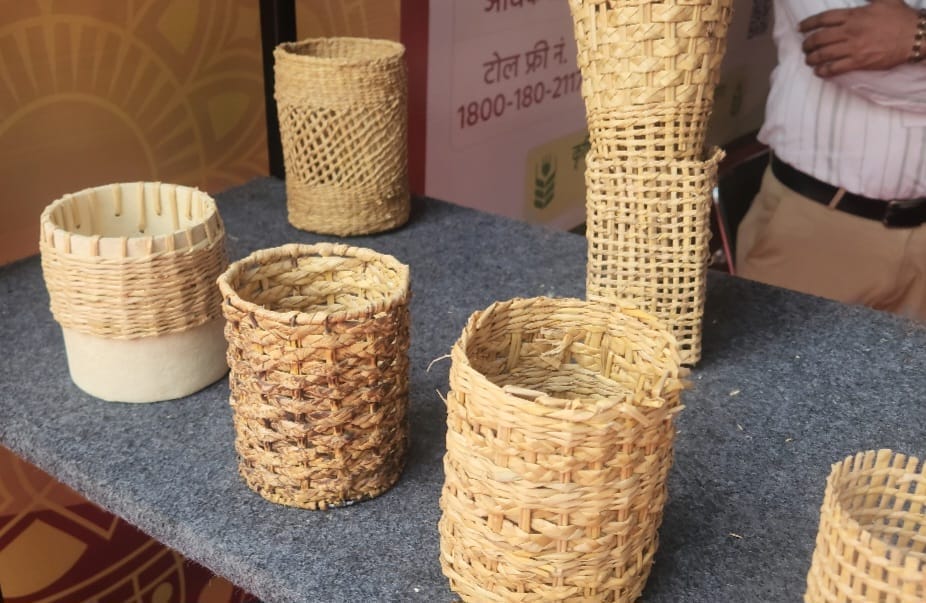 कुरुक्षेत्र। पराली से बनी सजावटी वस्तुएं। संवाद कुरुक्षेत्र। पराली से बनी सजावटी वस्तुएं। संवाद