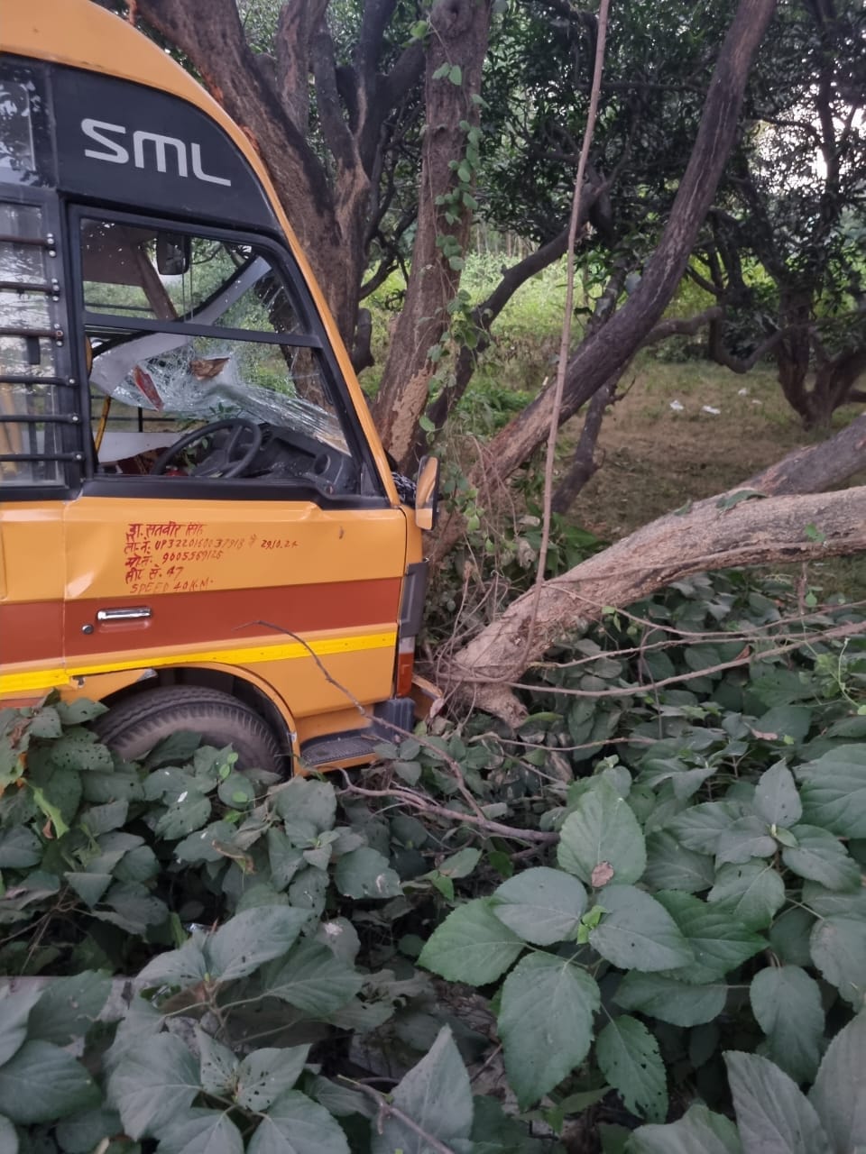 हादसे में चोटिल छात्राएं व क्षतिग्रस्त बस। हादसे में चोटिल छात्राएं व क्षतिग्रस्त बस।