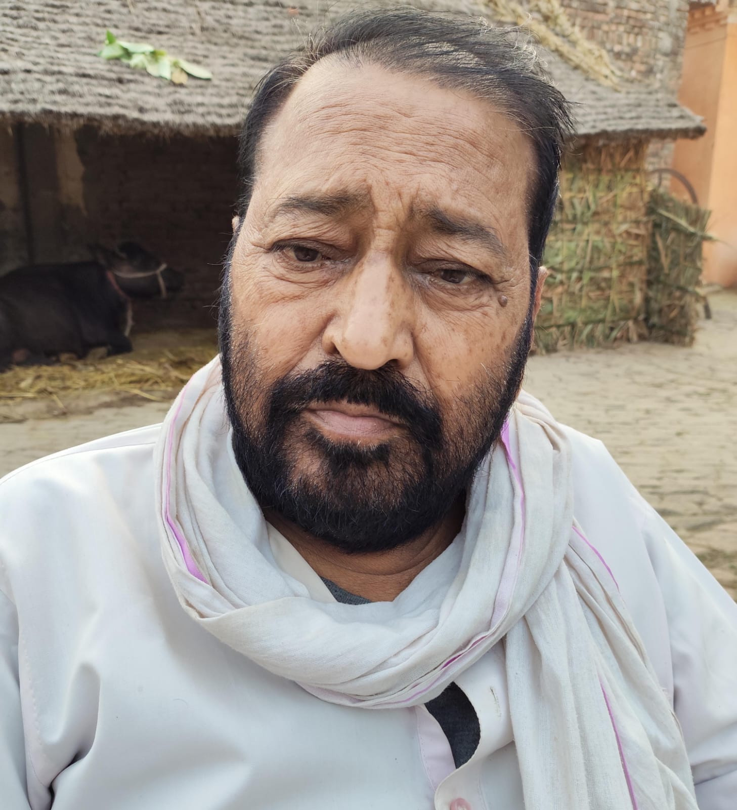 पवन पाठक पवन पाठक