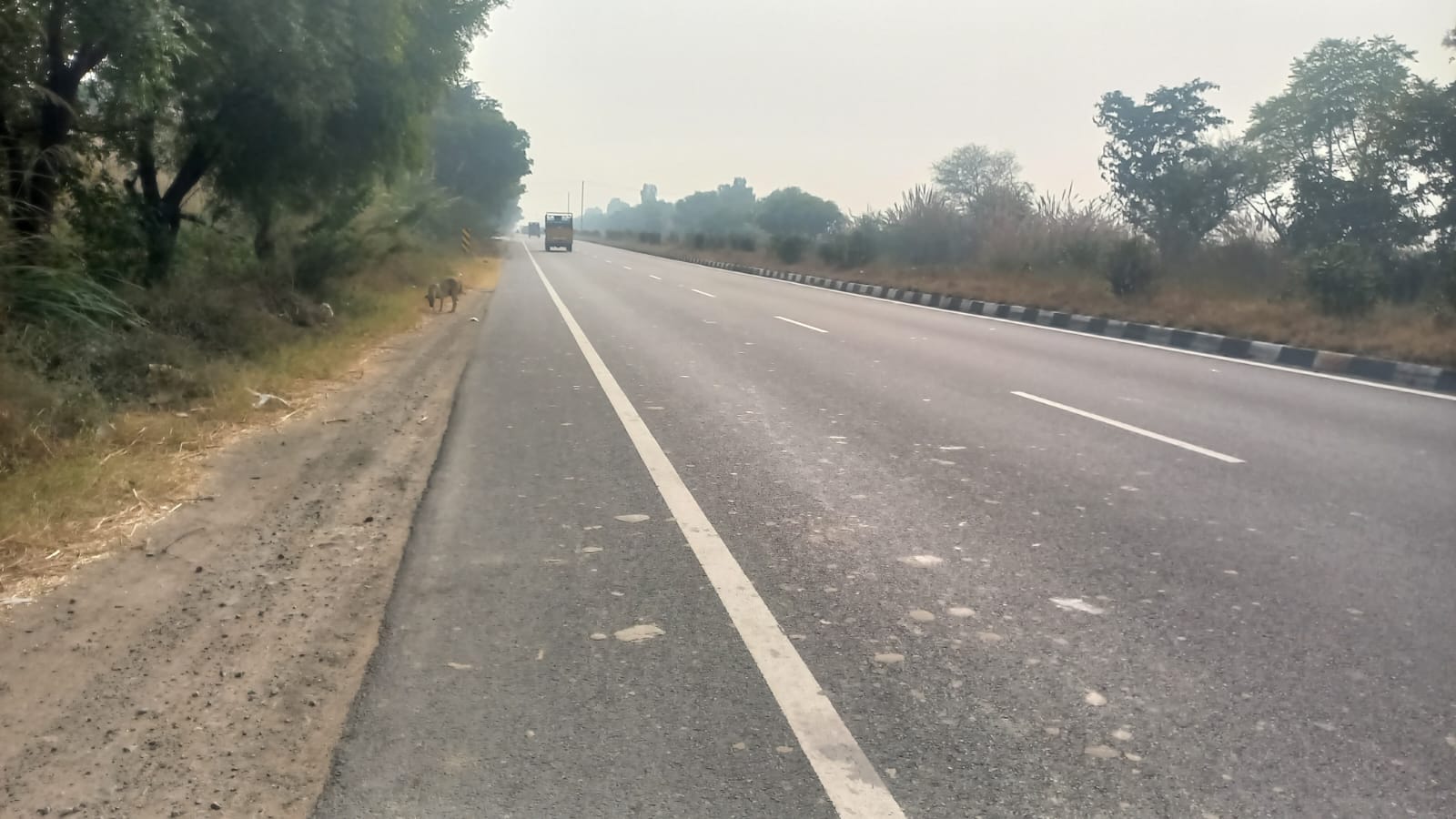 03jjrp04- रोहतक रोड पर गोवंश को विचरण करवाते पशुपालक। ऐसे में कई बार हादसे हो जाते हैं। संवाद 03jjrp04- रोहतक रोड पर गोवंश को विचरण करवाते पशुपालक। ऐसे में कई बार हादसे हो जाते हैं। संवाद