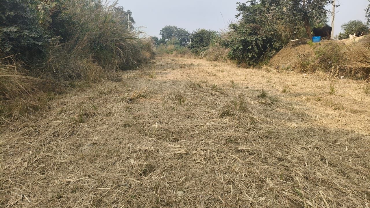 फोटो-10-बिछिया ब्लाक के मुर्तजानगर से निकली सूखी नहर। संवाद