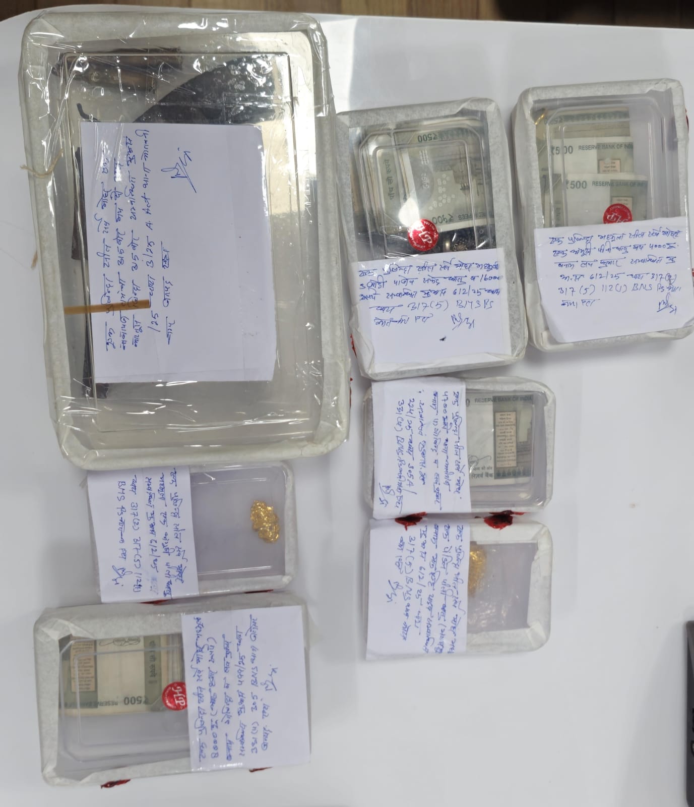 पुलिस की गिरफ्त में चोरी की आरोपी। संवाद