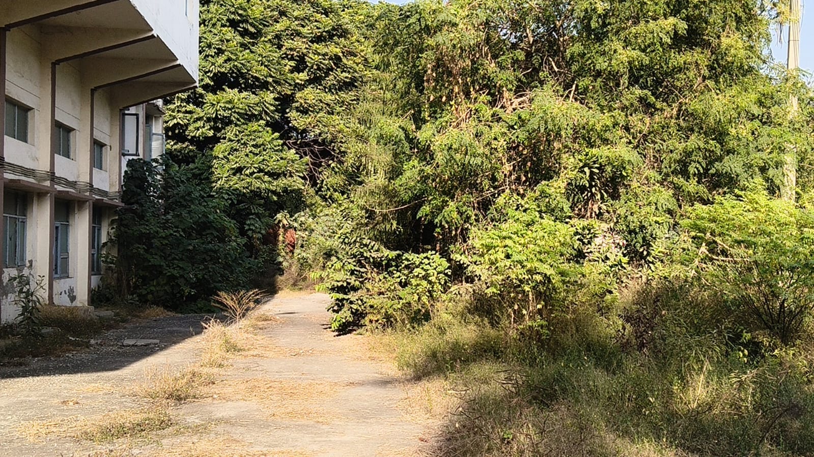 इनडोर हॉल की क्षतिग्रस्त हालत। संवाद इनडोर हॉल की क्षतिग्रस्त हालत। संवाद
