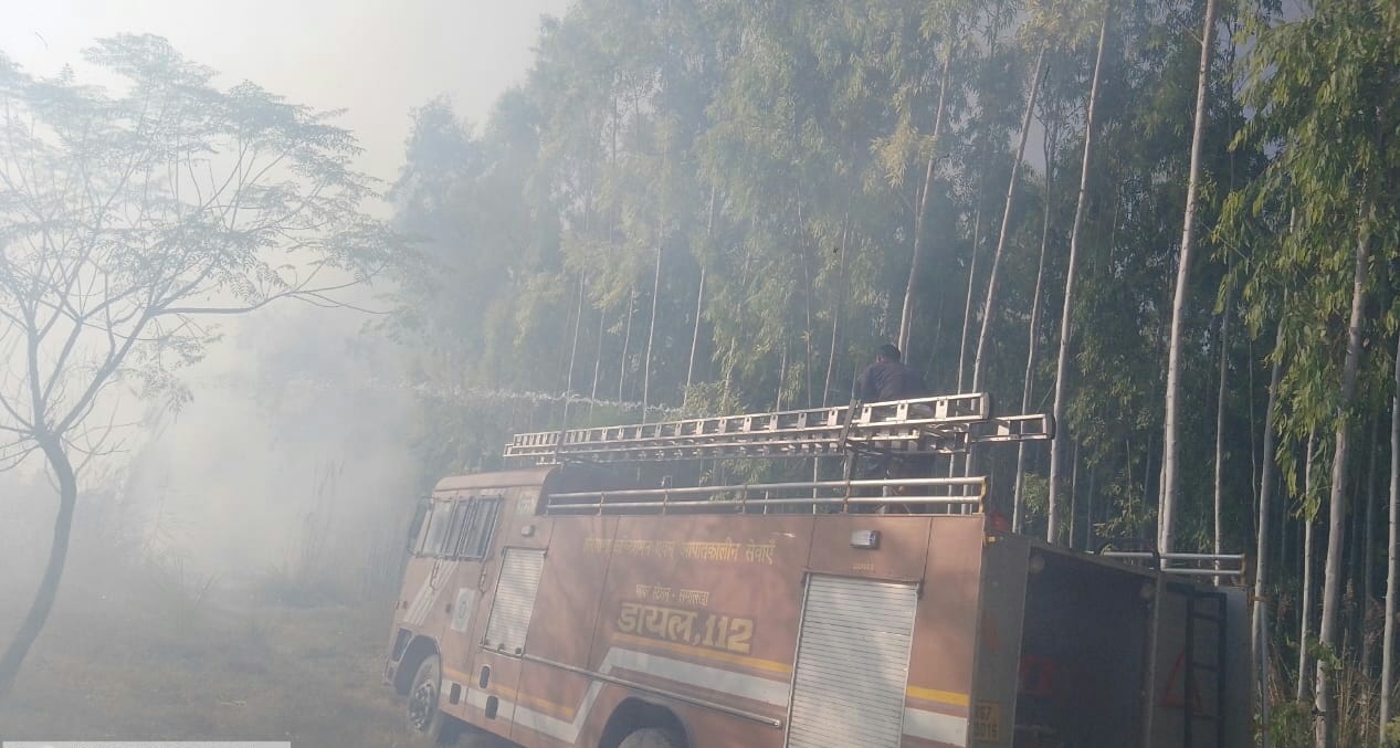 ग्वालडा गांव में खेतों में लगी आग को बुझाने के लिए पहुंची दमकल विभाग की गाड़ी। संवाद