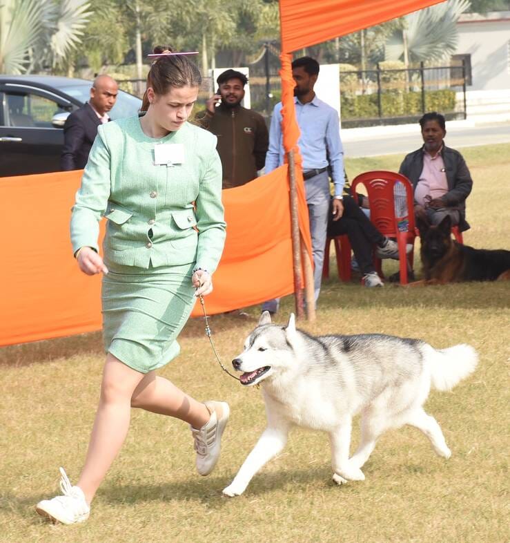 रिजर्व पुलिस लाइंस के मैदान में अवध केनेल क्लब की ओर से आयोजित डॉग शो 