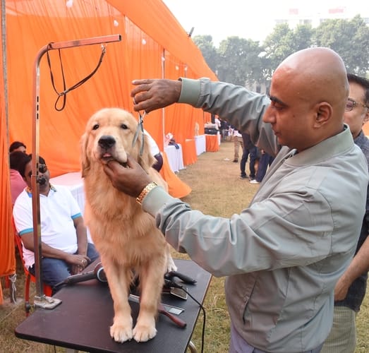 रिजर्व पुलिस लाइंस के मैदान में अवध केनेल क्लब की ओर से आयोजित डॉग शो 