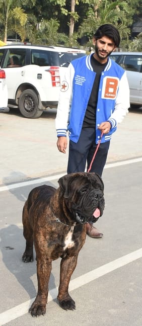 रिजर्व पुलिस लाइंस के मैदान में अवध केनेल क्लब की ओर से आयोजित डॉग शो 