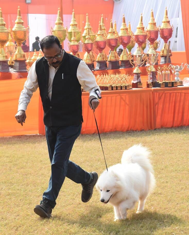 रिजर्व पुलिस लाइंस के मैदान में अवध केनेल क्लब की ओर से आयोजित डॉग शो 